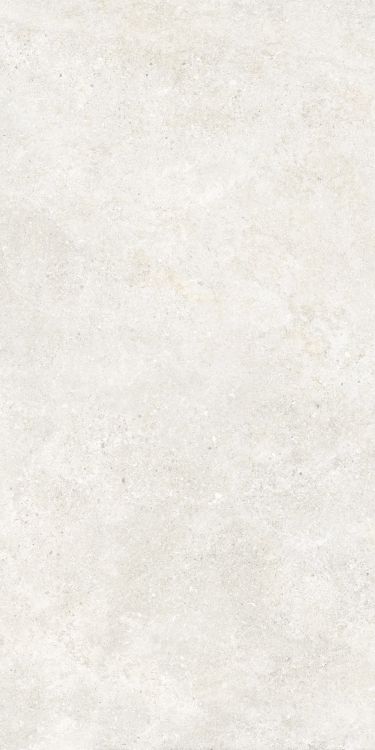 Untamed Wander White 24 x 48